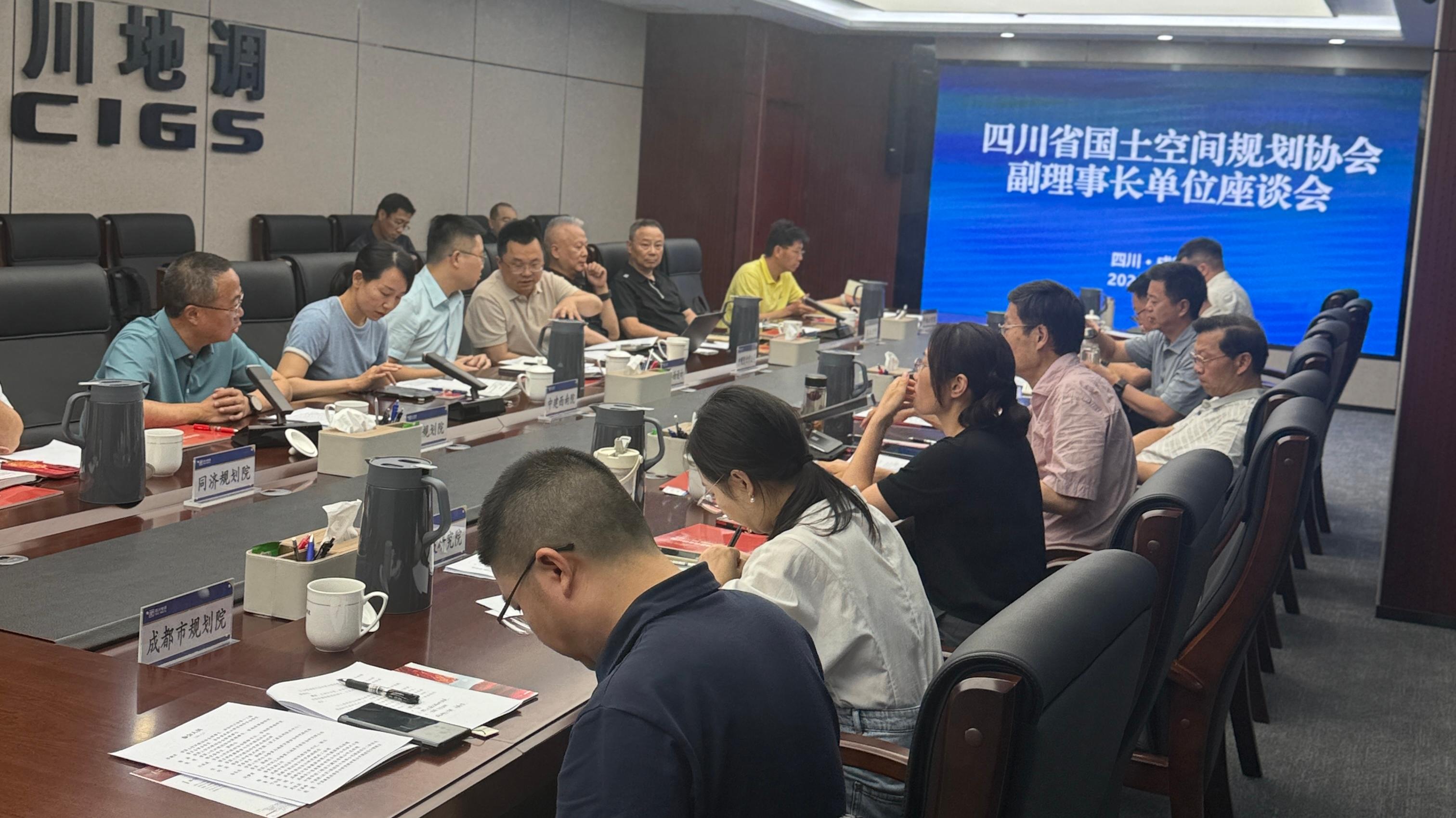 共享地方特色经验 共促规划高质发展