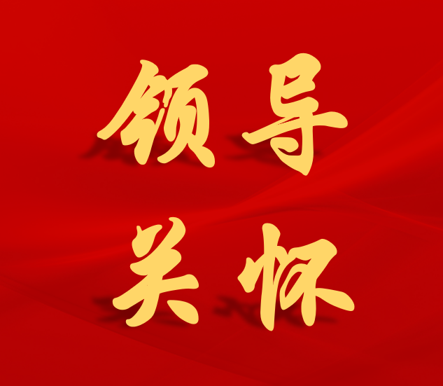 项目